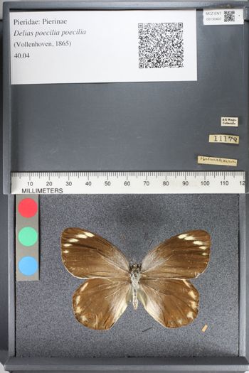 Media type: image;   Entomology 130407